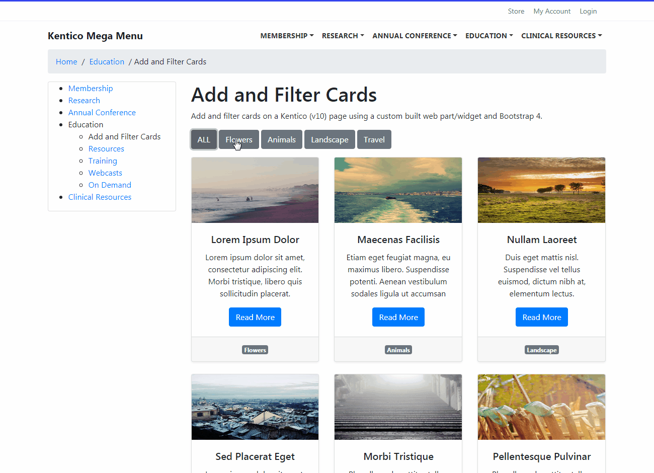 Add and Filter Cards On Kentico Page – kenticode